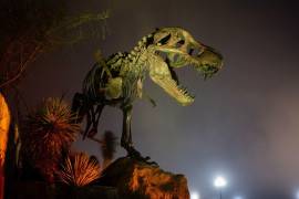 El dino que anteriormente fungía su rol de “Guardián del MUDE” representará gran aspecto de la cultura coahuilense, estado conocido por ser “tierra de dinosaurios”.
