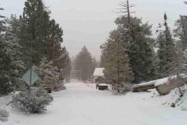 El nuevo frente frío y su masa de aire frío traerán temperaturas de hasta -10 grados en la República Mexicana.