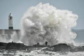 Tu jugo del día: Proyecto del Istmo, definido con mano alzada al pueblo