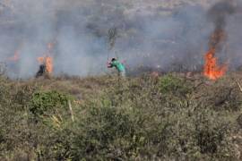 Gasta Coahuila millones contra incendios forestales; Federación le reduce recursos