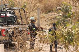 Se trata de la tercera mujer que es asesinada en Mazatlán, en un lapso de nueve días.