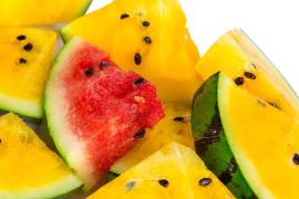 Su intenso color amarillo esconde un sabor dulce y refrescante que distingue a esta variedad de sandía.