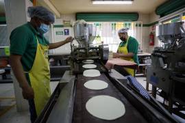 Para los industriales de la tortilla, el precio actual de 6 mil 700 pesos la tonelada de maíz es aún accesible para ofrecer precios asequibles al consumidor.