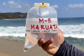 La toma de muestras se efectuó en 289 playas a lo largo del territorio mexicano