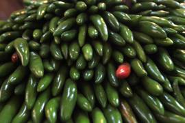 México busca denominación de origen para chiles en acuerdo actualizado del TLCUEM