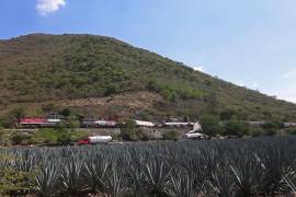 Las autoridades acudieron al punto para asegurar el área y evaluar los riesgos, debido a que el convoy trasladaba carrotanques con aproximadamente 450 mil litros de material, pertenecientes a la empresa FerroSur. FOTO: Archivo / Cuartoscuro