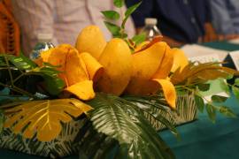 Se inspeccionan los embarques al inicio del proceso de exportación; si se detecta una alerta sanitaria, se detiene el envío de fruta proveniente del huerto involucrado.