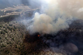 Incendio pudo ser causado para abaratar hectáreas en la Sierra de Arteaga
