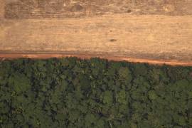 Vista aérea de áreas deforestadas de la selva amazónica, en Porto Velho, Rondonia, Brasil.