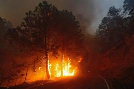 A un mes de mega incendio en Sierra de Arteaga, sin declarar presuntos responsables
