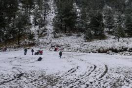 El nuevo frente frío y su masa de aire frío traerán temperaturas de hasta -15 grados en la República Mexicana.