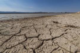 Coahuila es el estado más afectado por la sequía en el país, pues el 31.4 por ciento de su territorio registró niveles excepcionales y extremos por la falta de agua, de acuerdo con información del Servicio Meteorológico Nacional.