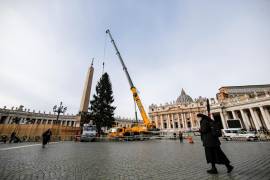 Vista de la instalación del árbol de Navidad en la Plaza de San Pedro en la ciudad del Vaticano. EFE/Fabio Frustaci