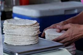 Ricardo Sheffield, declaró que el precio de la tortilla oscila entre los 13 y los 21.5 pesos por kilo,