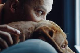 De niño, Dhruv Kazi estaba obsesionado con los perros.