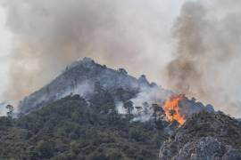 Conservación San Lorenzo y Profauna lanzan llamado urgente a los saltillenses para apoyar en el combate al fuego en San Lorenzo.