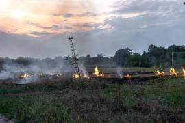 Un total de 79 combatientes continúan las labores para controlar y liquidar el incendio forestal que permanece activo en el municipio de Candela.