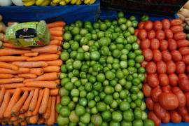 Entre los alimentos cuyos precios tuvieron más incidencia a la baja en el resultado de la inflación en la primera mitad de enero fueron jitomate, uva, papaya, tomate verde, calabacita, y huevo. FOTO: