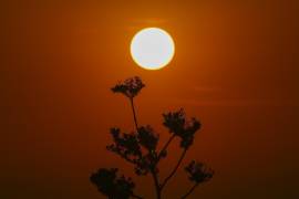 Sale el sol en medio de altas temperaturas en Ciudad de México. Los meteorólogos señalaron que las condiciones han sido causadas por lo que algunos llaman domo de calor.