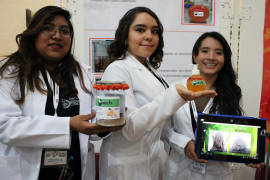 Estudiantes mexicanas crean producto contra la calvicie