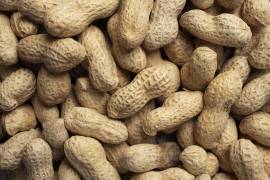 El ingrediente de hoy: Cacahuate.