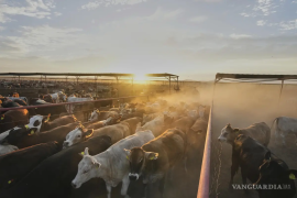 Coordinación entre gobierno estatal y productores para garantizar alimento al ganado.