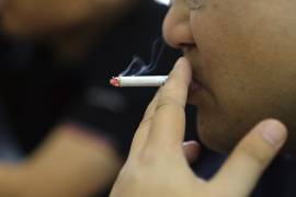 Según la OMS, el tabaco también es una amenaza para el medio ambiente