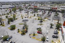 En 2006, cuando comenzó La Nogalera como plaza comercial, se tumbaron alrededor de 500 árboles y 70 nogales, según fuentes diversas.
