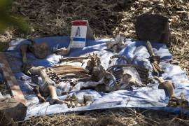 Fosa común y restos óseos por parte del crimen organizado.