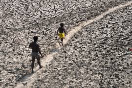 La UNCCD subrayó la necesidad de emprender acciones, ya que desde 2000 la cantidad y duración de las sequías se ha incrementado un 29 por ciento.