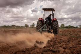 Un campo de cebollas en Somalia. El aumento descontrolado de los costos de la energía y los fertilizantes importados amenaza con reducir las cosechas y elevar los precios de los alimentos en toda África.