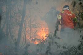 La Comisión Nacional Forestal informó que para este viernes 29 de marzo registra hasta ahora 113 incendios forestales activos en México.