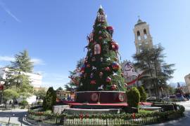 El pino navideño ya fue colocado en el centro de la Plaza de Armas.