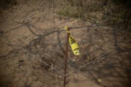 Encuentran en Veracruz 5 mil restos humanos en una fosa clandestina