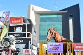 El Municipio prevé concluir en menos de dos meses la entrega de 130 vehículos destinados a sustituir los carromatos de tracción animal.