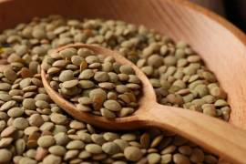 El Gobierno de México inició el acopio de lenteja michoacana para distribuirla en las Tiendas del Bienestar y garantizar ingresos a pequeños agricultores.