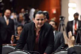 Diputada de Coahuila propone reducir &quot;pluris&quot;