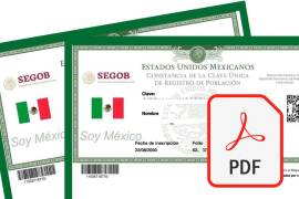 La CURP es necesaria para tramitar todo tipo de documentos oficiales en México. Sin ella no podrás realizar ningún trámite ante las dependencias de la Administración Pública.