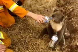 El mundo del tenis se une por Australia y 'llueven' donaciones