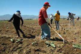 La moderna esclavitud: Jornaleros mexicanos viven salarios de miseria, hacinamiento y acoso sexual