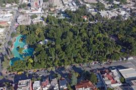 El colectivo busca generar conciencia sobre la preservación de áreas verdes y documentar la flora urbana ante los próximos trabajos de remodelación de la Alameda.