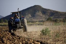 El volumen anual ha disminuido en años recientes debido a las sequías recurrentes asociadas al cambio climático, en un contexto donde 90% de las siembras son de temporal.