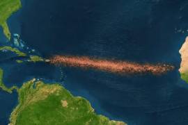 El Gran Cinturón de Sargazo del Atlántico se ha convertido en un fenómeno ambiental de gran escala que preocupa a la comunidad científica.