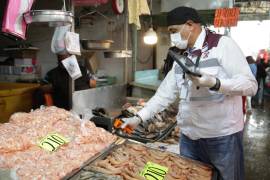 Con el inicio de la temporada de Cuaresma, la Jurisdicción Sanitaria Número 1 intensificará la vigilancia en establecimientos que comercializan pescados y mariscos.