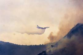 Desde el Cañón de San Lorenzo, se determinó el monitoreo del comportamiento del incendio forestal de Sierra Hermosa, municipio de Arteaga.