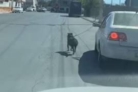 En el video la persona que graba comenta indignada que está siguiendo el coche que lleva al perrito corriendo a la par del auto en movimiento bajo el calor de la tarde.