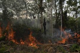 Atiende ‘de lejos’ Bolsonaro cumbre por la Amazonia