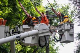 Empresarios destacan importancia de garantizar la electricidad al argumentar que esta actividad es transversal a todas las actividades económicas en la nación. FOTO: CUARTOSCURO.