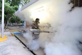 Brigadas de la Secretaría de Salud realizan labores de fumigación y aplicación de abate en distintos municipios de Coahuila.