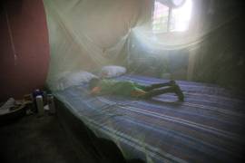 Alerta OMS brote de malaria en Venezuela